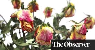 Avas flowers is a family owned and operated nationwide florist offering premium flowers at discount prices. Internet Flowers The Perils Of A Thoughtful Gift Consumer Rights The Guardian
