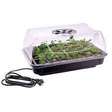 First, follow any recommend preparations for sowing such as scarification (roughing up seed coat) or stratification (e.g. Vivosun Seed Starter Germination Kit Heating Propagation Tray W Dome 24 Cells 615435163390 Ebay Seed Starter Seed Kit Germination