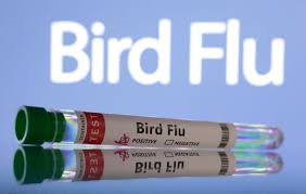 Origin of human bird flu case in Missouri still unknown, U.S. CDC says