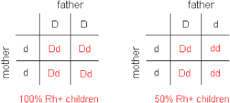 Blood Type Meaning Eat According To Your Blood Type Chart