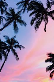 We have a massive amount of hd images that will make your computer or smartphone look absolutely fresh. Palm Trees Sunset Pictures Download Free Images On Unsplash