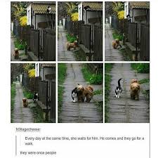 Too Awesome To Have Ever Been People Cute Baby Animals Cute Funny Animals Animals Beautiful