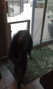 The process is two part Security Boss Maxseal In Glass Door Mount Pet Door Pet Door Installation Sliding Glass Door Pet Door Sliding Glass Door