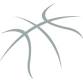 Haunted Hoops Basketball Tournament