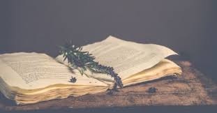 Free for commercial use ✓ no attribution required . 30 Most Beautiful Book Quotes Of All Time