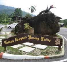 This is exactly what we had in mind when we planned a visit to one of sarawak's national parks. Attractions In Malaysia Things To Do In Malaysia Gowhere My