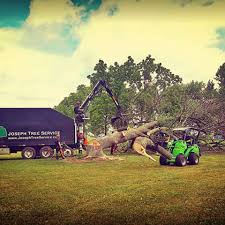 Maybe you would like to learn more about one of these? How To Become An Arborist Joseph Tree Columbus Ohio