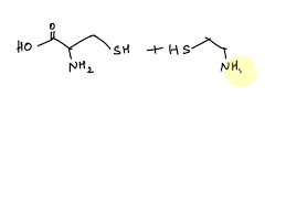 Ppt - Amino Acids Powerpoint Presentation, Free Download - Id:1724247
