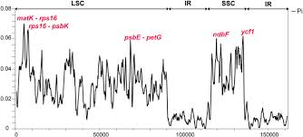 Image result for Tricalysia semidecidua