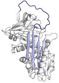 This may result in shortness of breath, wheezing, or an increased risk of lung infections. Alpha 1 Antitrypsin Wikipedia