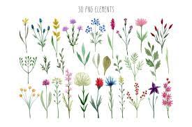 Watercolor Wildflowers Flower Pattern Drawing Watercolor Flowers Paintings Wildflower Drawing