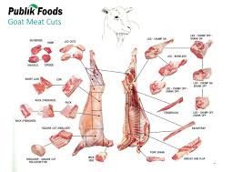 Pin On Meat Cuts