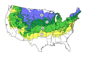 We did not find results for: Montmorency Cherry Tree On The Tree Guide At Arborday Org