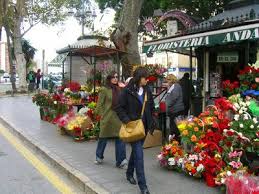 Floristería Andalucía