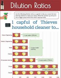 Image Result For Thieves Cleaner Dilution Chart Essential