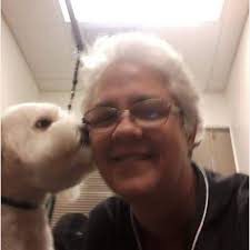 2ft wingspan good thing we don't live in a windy city