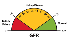 Jul 11, 2021 · glomeruler filtration happens when the fluid in the blood is drained through those capillaries, or vessels, and the waste is separated. Explaining Your Kidney Test Results A Tool For Clinical Use Niddk