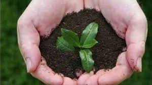 Why world environment day is observed on 5th june every year? Sdgano42lu3klm