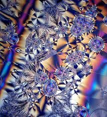 Image result for Polarized Microscopy