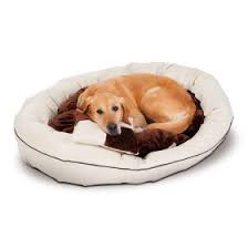 Einige hunde möchten von ihrem kissen gerne das ganze leben im haus mitbekommen, andere betten sich eher an einen zurückgezogeneren ort. Hundebett Hundeschlafplatz Gunstig Online Kaufen Zooplus