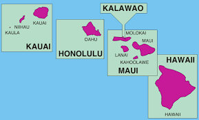 Many people want to know what the process of getting a 329 card (or marijuana card) looks like in hawaii. Patrol Service Honolulu Hawaii