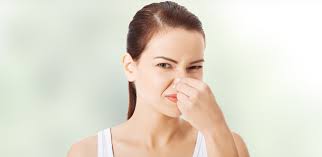 What Is That Rotten Egg Smell In Your Water?