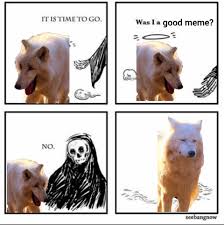 It S Time To Go Two Laughing Wolves And One Serious Wolf Really Funny Memes Funny Relatable Memes Funny Memes