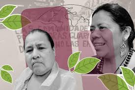 Ana Centeno y Lolita Chávez, pioneras en la defensa de los bosques y la  selva