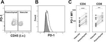 Most lung nodules are benign (not cancerous). Airway Delivery Of Both A Bcg Prime And Adenoviral Boost Drives Cd4 And Cd8 T Cells Into The Lung Tissue Parenchyma Scientific Reports