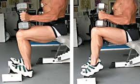 Standing dumbbell calf raise is just one of them. Dumbbell Seated Calf Raise Bodybuilding Wizard