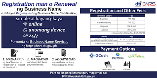 Bnrs Business Name Registration At Your Fingertips