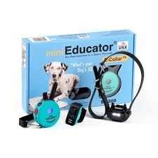 Dog Training Collar