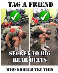 Jim Workout Fitnessgym Workout Training Programs Shoulder Workout Fun Workouts