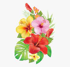 Google Image Result For Https Www Netclipart Com Pp M 107 1077821 Moana Flower Clip Art Tropical F Flower Drawing Hibiscus Flower Drawing Flower Illustration
