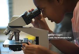 130 Sarah Wheaton Photos & High Res Pictures