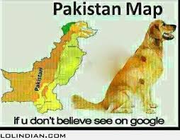 A man was sitting on a bench next to a dog sitting on the grass. Pakistan In Map Actually Looks Like A Dog Indian Jokes Really Funny Memes True Interesting Facts