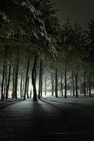 Nighttime Landscape Photography Tips How To Get Started Shadow Images Nature Photography Winter Snow Photography