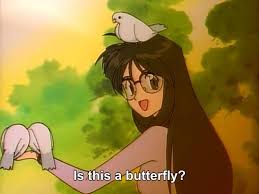 Check spelling or type a new query. Is This A Butterfly Is This A Pigeon Know Your Meme