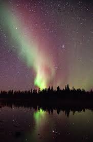 Northern Lights By Dave Brosha Based In Yellowknife Northwest Territories Northern Lights Aurora Borealis Northern Lights Northern Lights Aurora Borealis