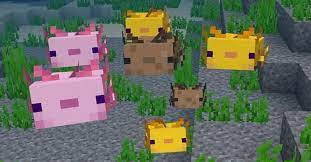 The colour has no effect on the creature itself. Want To Tame An Axolotl In Minecraft Here S How To Do It