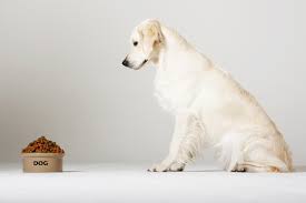 Diet is a big part of helping your dog manage their diabetes. Diabetic Dog Food Benefits And Guidelines Lovetoknow