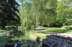 Pages dans la catégorie « jardin des sciences de l'université de strasbourg ». Parc De L Arquebuse Jardin Des Sciences Dijon
