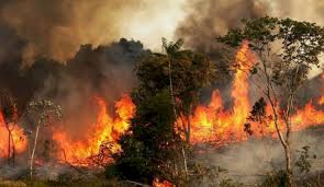27 de santa fe y para hoy se espera la llegada de 18 bomberos de entre ríos. Preocupa La Continuidad De Los Focos De Incendio En Cordoba Diario Hoy En La Noticia