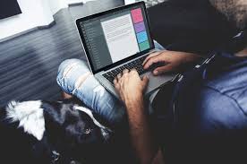 Wavemaker Cross Platform Novel Planning And Writing Software