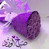 البرنامج الإعلاني كل ما تحب معرفته عن google‏ هنا google.ru. 1