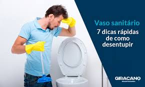 Como Desentupir Vaso Sanitario 7 Dicas Rapidas Para Resolver O Problema