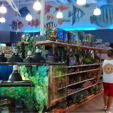 4k flower wallpaper whatspaper / for this purpose, everyone can find a perfect nature photo or nature 4k video in his/her opinion. The Best 10 Pet Stores Near Centre D Animaux Nature In Pointe Claire Qc Yelp