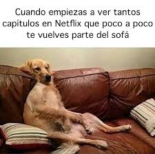 Tras enterarse de que bianca será inalcanzable hasta que su hermana kat, fóbica a los hombres, se enamore. 18 Memes De Netflix Que Te Haran Decir Pense Que Yo Era El Unico