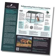 Coexisting with cougars in the Santa Ana Mountains