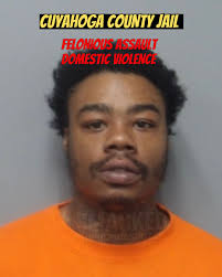 CALVIN ARNOLD FELONIOUS ASSAULT DOMESTIC VIOLENCE #Clevelandmugshots  #cuyahogamugshots #Cuyahoga